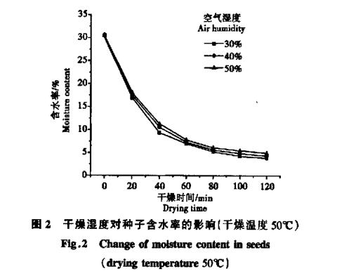 高温干燥对白菜生命破坏机理分析