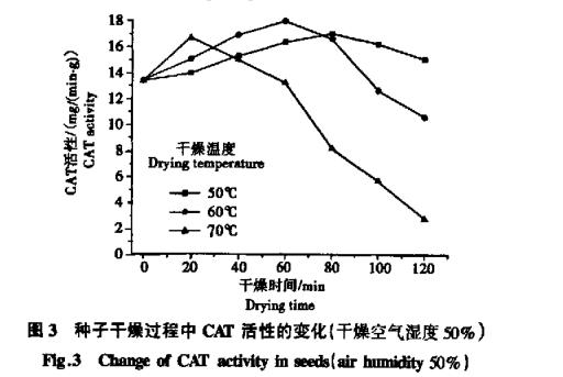 高温干燥对白菜生命活性变化