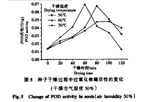 高温干燥条件对白菜种子生命物质破坏